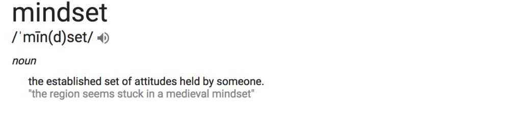 Definition of mindset