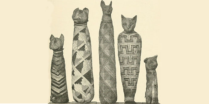 Sketch of mummified cats from the British Museum: A Guide to the Third and Fourth Egyptian Rooms, Natural History Museum, London